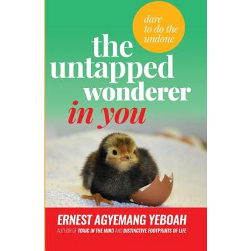 The Untapped Wonderer in You: Dare to Do the Undone Paperback, Createspace Independent Publishing Platform