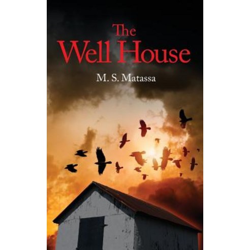 The Well House Paperback, Outskirts Press