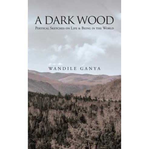 A Dark Wood: Poetical Sketches on Life & Being in the World Paperback, Authorhouse