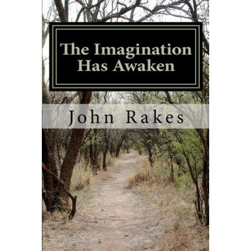 The Imagination Has Awaken Paperback, Createspace Independent Publishing Platform