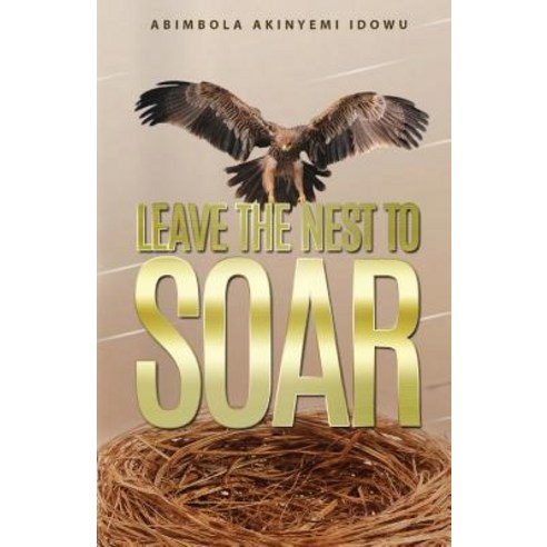 Leave the Nest to Soar Paperback, Syncterface Limited