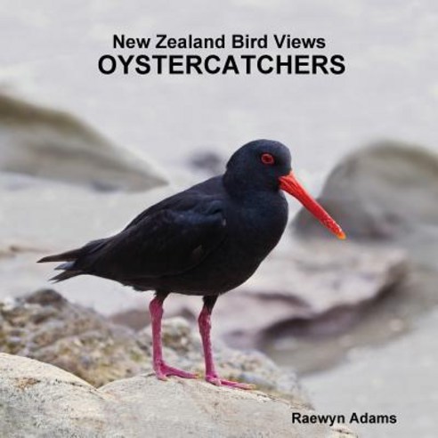 New Zealand Bird Views: Oystercatchers Paperback, Raewyn Adams