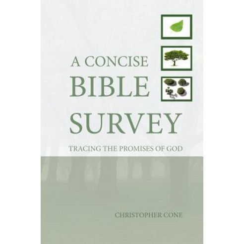 A Concise Bible Survey: Tracing the Promises of God Paperback, Exegetica Publishing & Biblical Resources