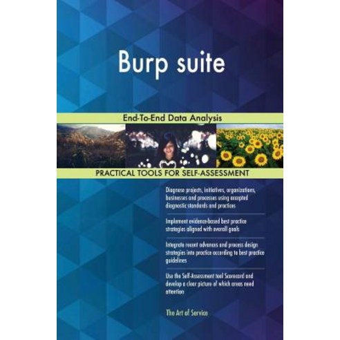 Burp Suite: End-To-End Data Analysis Paperback, Createspace Independent Publishing Platform