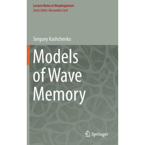 Models of Wave Memory, Springer