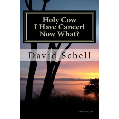 Holy Cow I Have Cancer!: What Do I Do Now? Paperback, Createspace Independent Publishing Platform