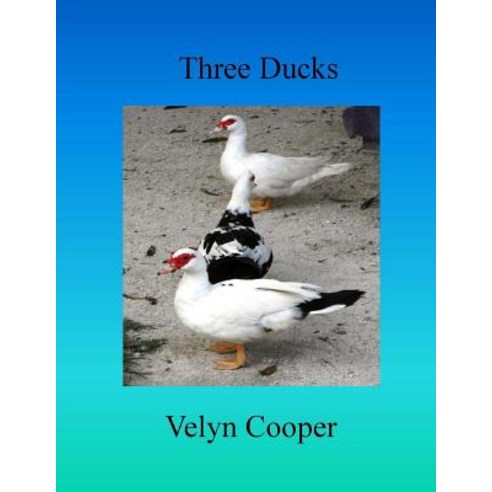 Three Ducks Paperback, Createspace Independent Publishing Platform