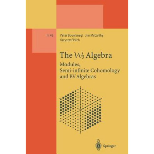The W3 Algebra: Modules Semi-Infinite Cohomology and Bv Algebras Paperback, Springer