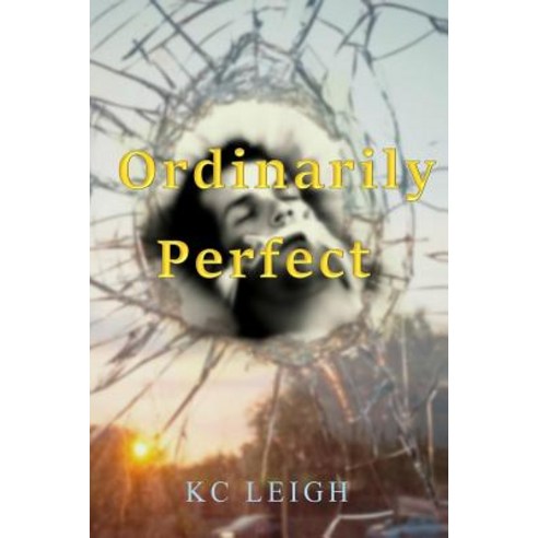 Ordinarily Perfect: A Car Accident a Brain Injury...Will Anything Be Ordinary Again? Paperback, Createspace Independent Publishing Platform
