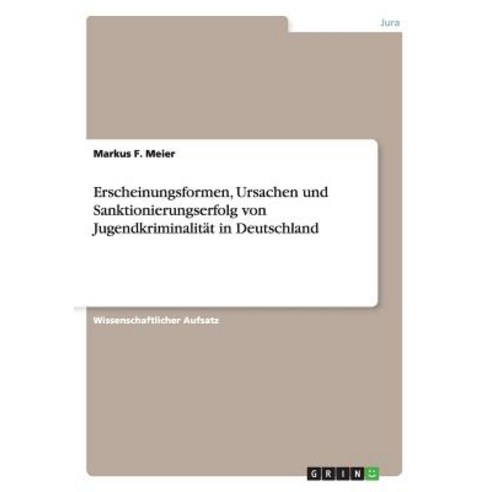 Erscheinungsformen Ursachen Und Sanktionierungserfolg Von Jugendkriminalitat in Deutschland Paperback, Grin Verlag Gmbh