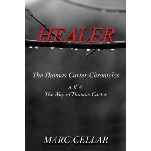 Healer: The Thomas Carter Chronicles A.K.A. the Way of Thomas Carter Paperback, Createspace Independent Publishing Platform