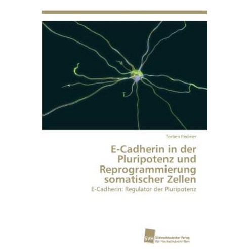 E-Cadherin in Der Pluripotenz Und Reprogrammierung Somatischer Zellen Paperback, Sudwestdeutscher Verlag Fur Hochschulschrifte