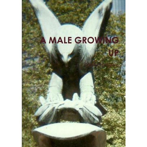 A Male Growing Up Paperback, Lulu.com