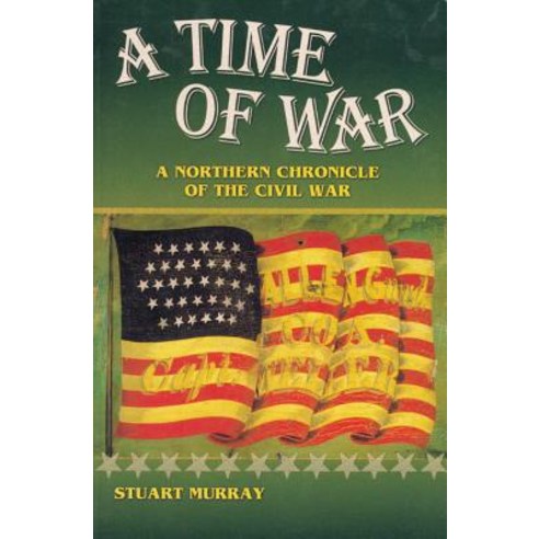 A Time of War: A Northern Chronicle of the Civil War Paperback, W. W. Norton & Company