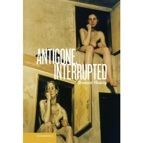 Antigone Interrupted Hardcover, Cambridge University Press