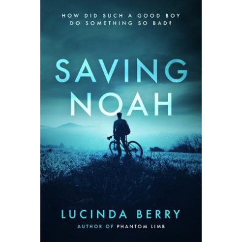 Saving Noah Paperback, Createspace Independent Publishing Platform
