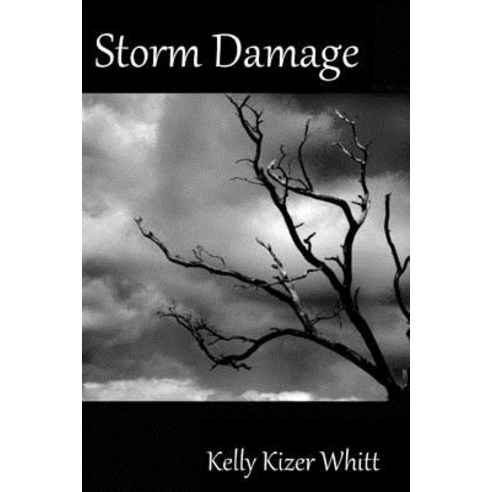 Storm Damage Paperback, Createspace Independent Publishing Platform