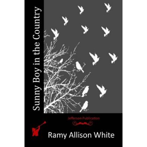Sunny Boy in the Country Paperback, Createspace Independent Publishing Platform