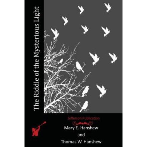 The Riddle of the Mysterious Light Paperback, Createspace Independent Publishing Platform