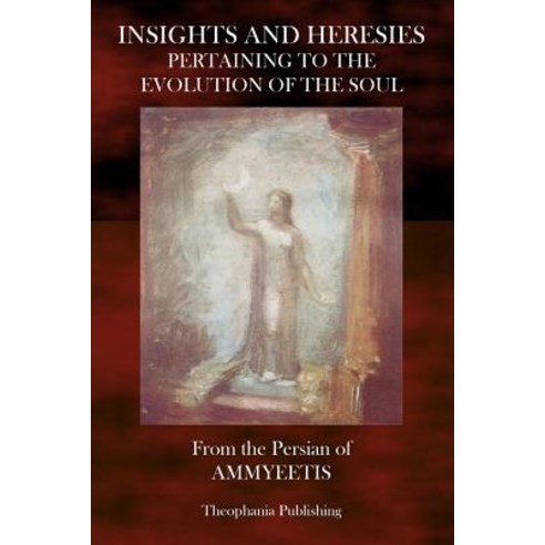 Insights and Heresies Pertaining to the Evolution of the Soul Paperback, Createspace Independent Publishing Platform