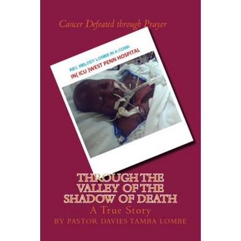 Through the Valley of the Shadow of Death Paperback, Createspace Independent Publishing Platform