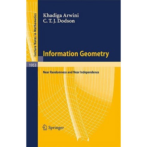 Information Geometry: Near Randomness and Near Independence Paperback, Springer