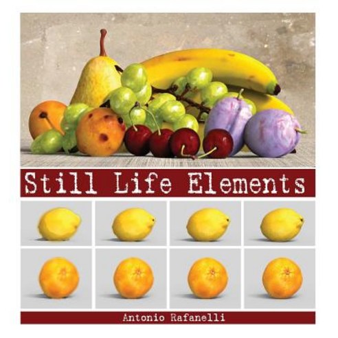 Still Life Elements, Youcanprint Self-Publishing