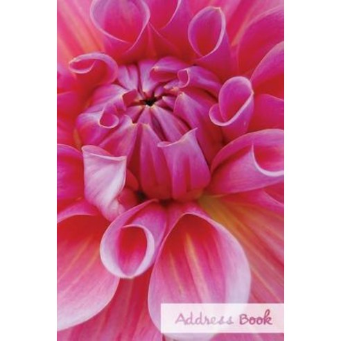Address Book. (Flower Edition Vol. 43): Glossy and Soft Cover Large Print Font 6" X 9" for Contacts..., Createspace Independent Publishing Platform