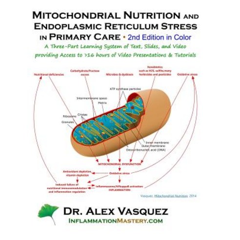 Mitochondrial Nutrition and Endoplasmic Reticulum Stress in Primary Care Second: A Three-Part Learnin..., Createspace Independent Publishing Platform