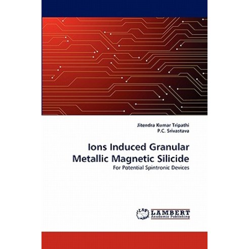 Ions Induced Granular Metallic Magnetic Silicide Paperback, LAP Lambert Academic Publishing