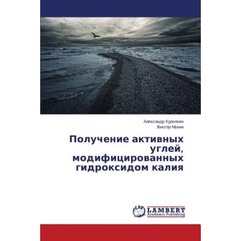 Poluchenie Aktivnykh Ugley Modifitsirovannykh Gidroksidom Kaliya, LAP Lambert Academic Publishing