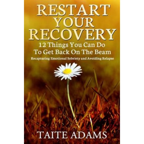 Restart Your Recovery - 12 Things You Can Do to Get Back on the Beam ...