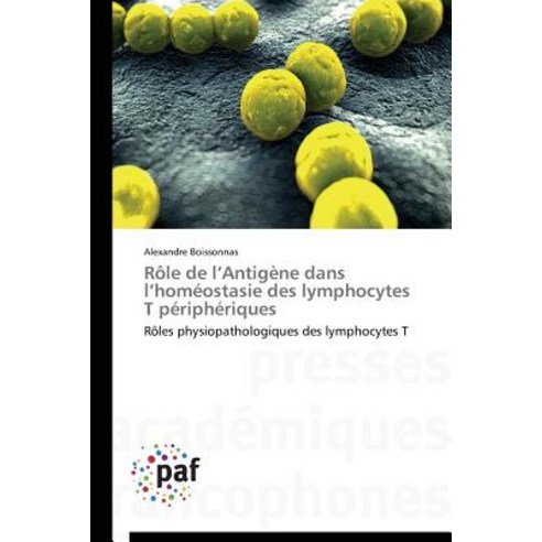 Role de L Antigene Dans L Homeostasie Des Lymphocytes T Peripheriques, Academiques