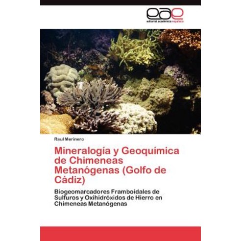 Mineralogia y Geoquimica de Chimeneas Metanogenas (Golfo de Cadiz), Eae Editorial Academia Espanola