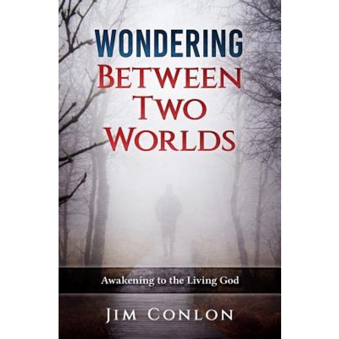 Wondering Between Two Worlds: Awakening to the Living God Paperback, Planetary People Press