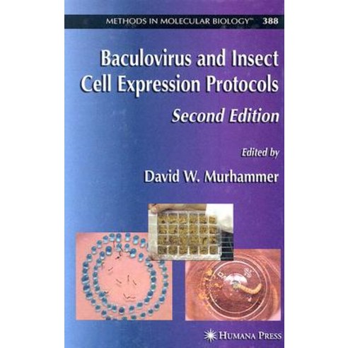 Baculovirus and Insect Cell Expression Protocols Hardcover, Humana Press