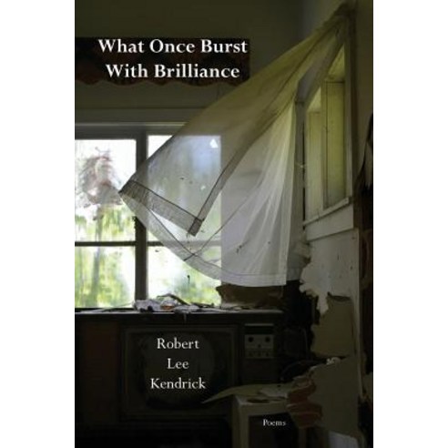 What Once Burst with Brilliance Paperback, Iris Press