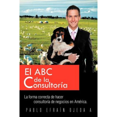 El ABC de La Consultoria: La Forma Correcta de Hacer Consultoria de Negocios En America. Paperback, Palibrio