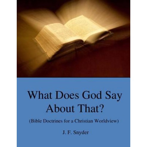 What Does God Say about That?: (Bible Doctrines for a Christian Worldview) Paperback, Createspace Independent Publishing Platform