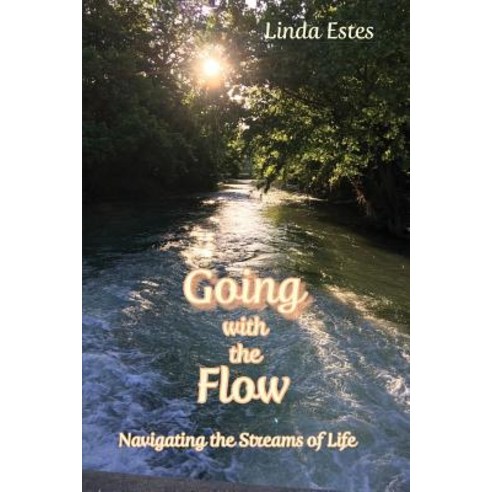 Going with the Flow: Navigating the Streams of Life Paperback, Energion Publications