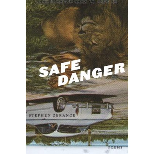 Safe Danger Paperback, Indolent Books
