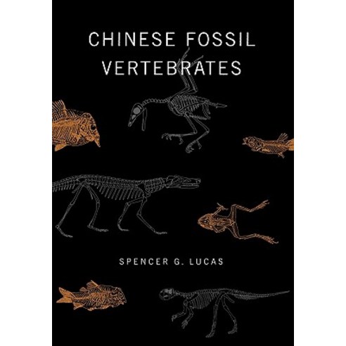 Chinese Fossil Vertebrates Paperback, Columbia University Press
