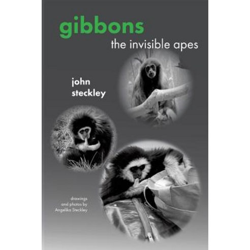 Gibbons: The Invisible Apes Paperback, Rock''s Mills Press