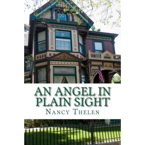 An Angel in Plain Sight Paperback, Createspace Independent Publishing Platform