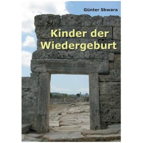 Kinder Der Wiedergeburt Paperback, Books on Demand