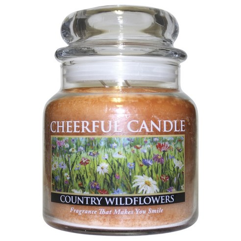 어치어풀기버 치어풀 자캔들, Country Wildflowers, 453.6g