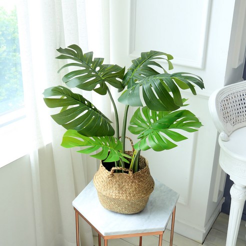 조아트 인조나무 조화나무 극락조 아레카야자 몬스테라 알로카시아 9종, 몬스테라 68cm, 1개