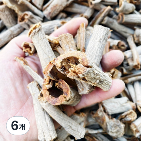 천일한약방 국산 유근피 느릅나무 뿌리껍질 의성, 300g, 6개
