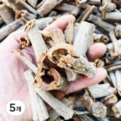 천일한약방 국산 유근피 느릅나무 뿌리껍질 의성, 300g, 5개