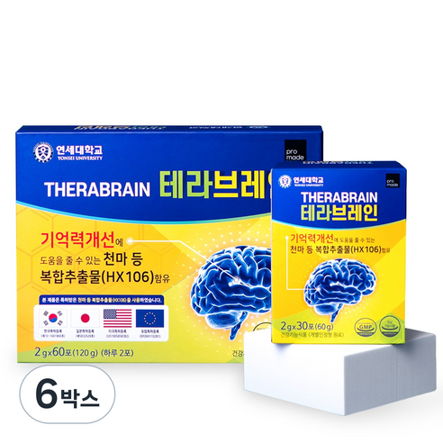 [정식판매처] 연세대 테라 브레인 기억력 두뇌 건강 기능식품 천마 가루 뇌 홍경천 아연 연세생활건강, 120g, 6박스
